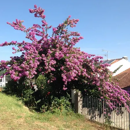 Muralhas Do Mino Maison d'hôtes 2*