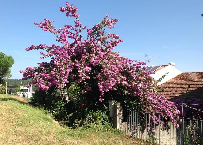Muralhas Do Mino Pensión 2*